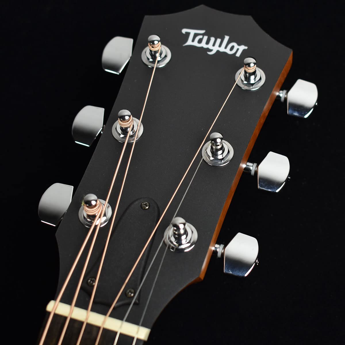 Amazon | Taylor Academy 10e S/N：2104177187 【エレアコ】 テイラー
